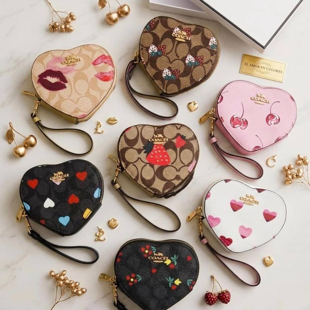 MONEDERO COACH CON CAJA